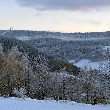 Chalet 'chata Usowek' *