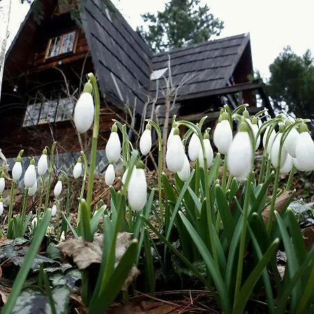 'chata Usowek' Chalet