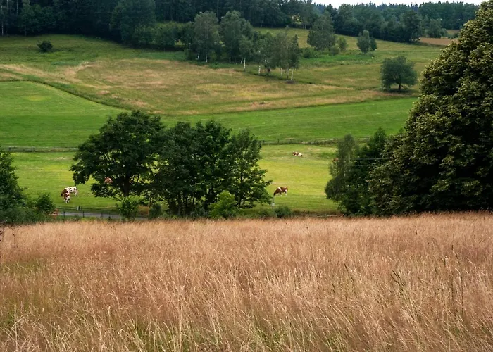 'chata Usowek' Chalet *