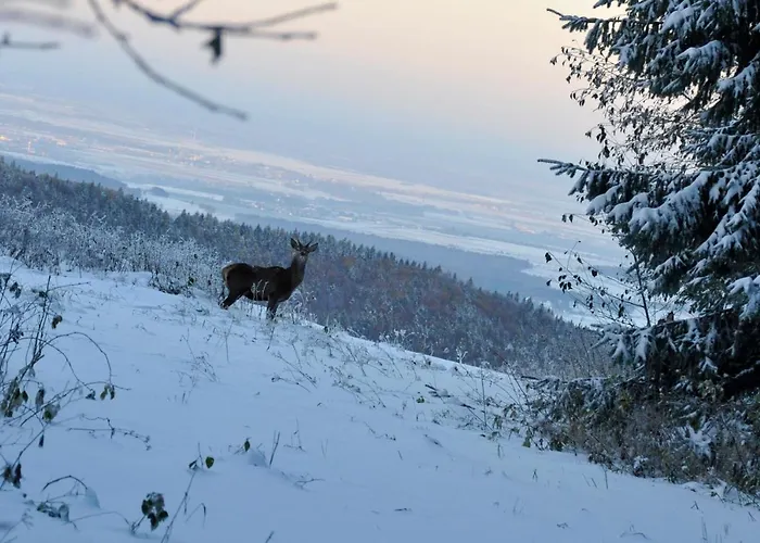 'chata Usowek' Chalet
