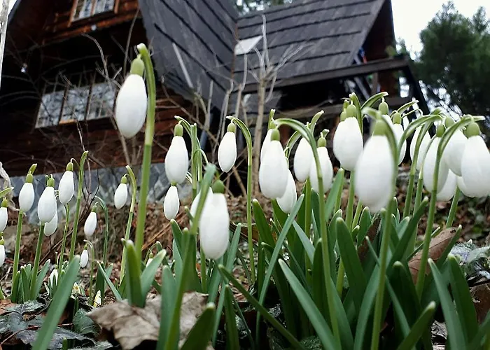 'chata Usowek' Chalet